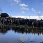 Imagen de la noticia Dos centenares de personas de 15 municipios asisten a la presentación de la Guía de Anfibios de Alpedrete