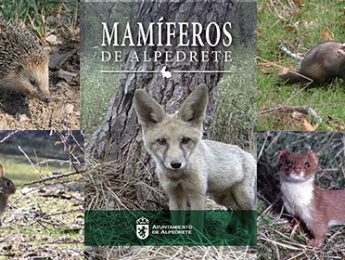 Imagen de la noticia Presentación de la guía “Mamíferos de Alpedrete”