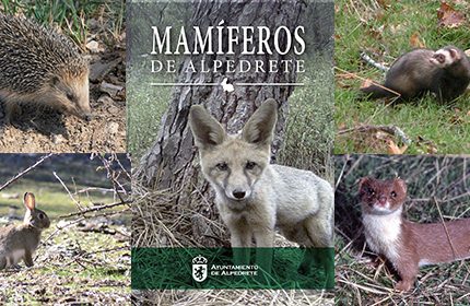 Imagen de la noticia Presentación de la guía “Mamíferos de Alpedrete”