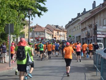 Imagen de la noticia VI Carrera solidaria Las Dehesas