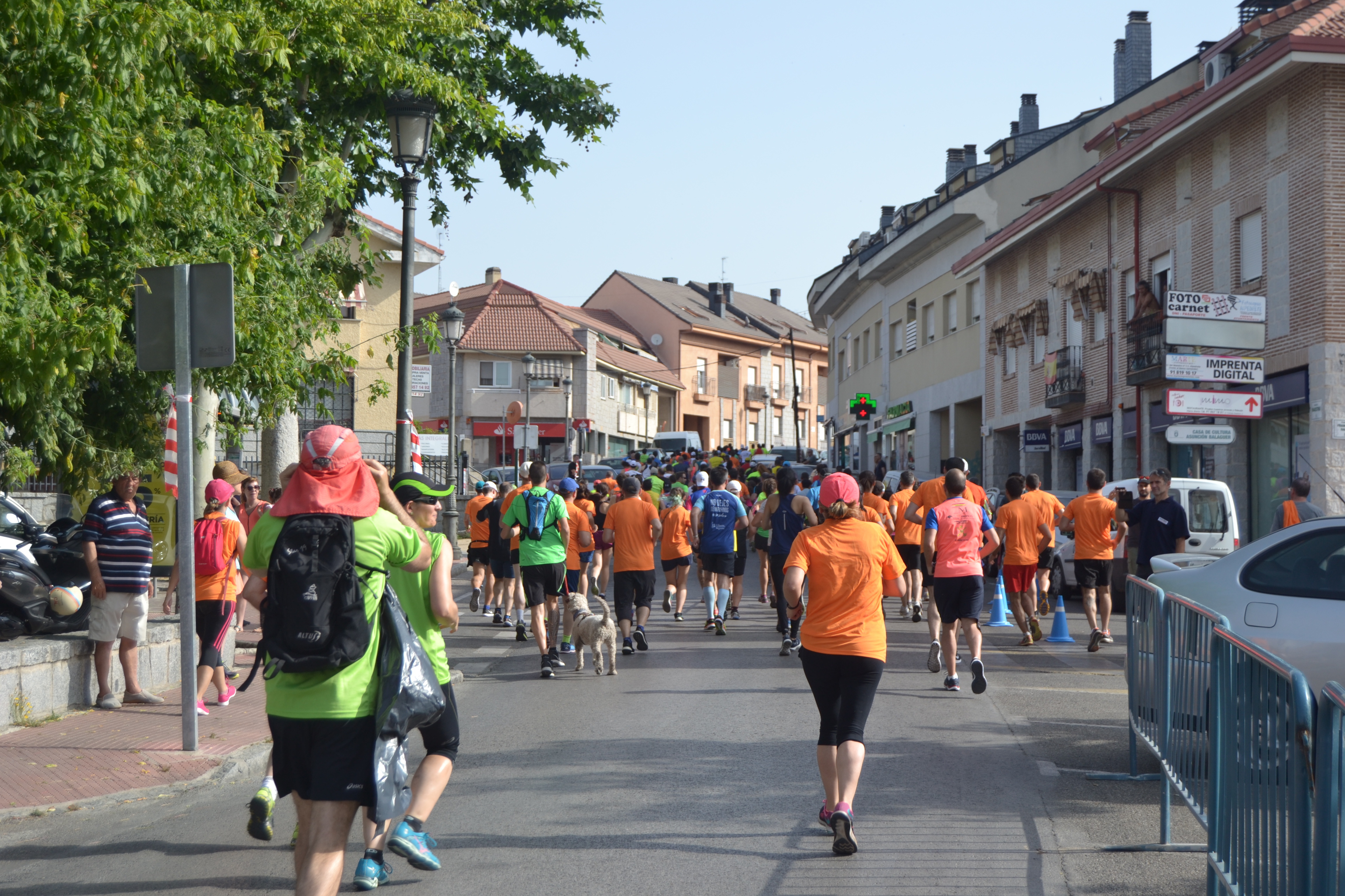 Imagen de la noticia VI Carrera solidaria Las Dehesas