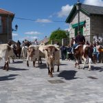 Imagen de la noticia Encierro de la trashumancia