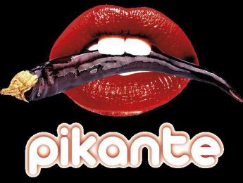 Imagen de la noticia Concierto: Orquesta Pikante