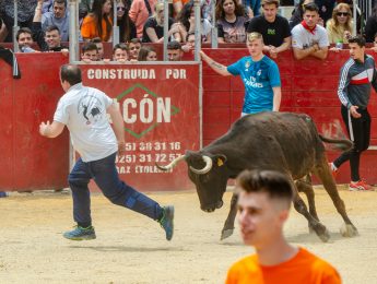 Imagen de la noticia Encierro y suelta de erales