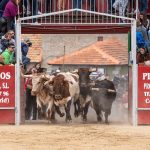 Imagen de la noticia Encierros 2019