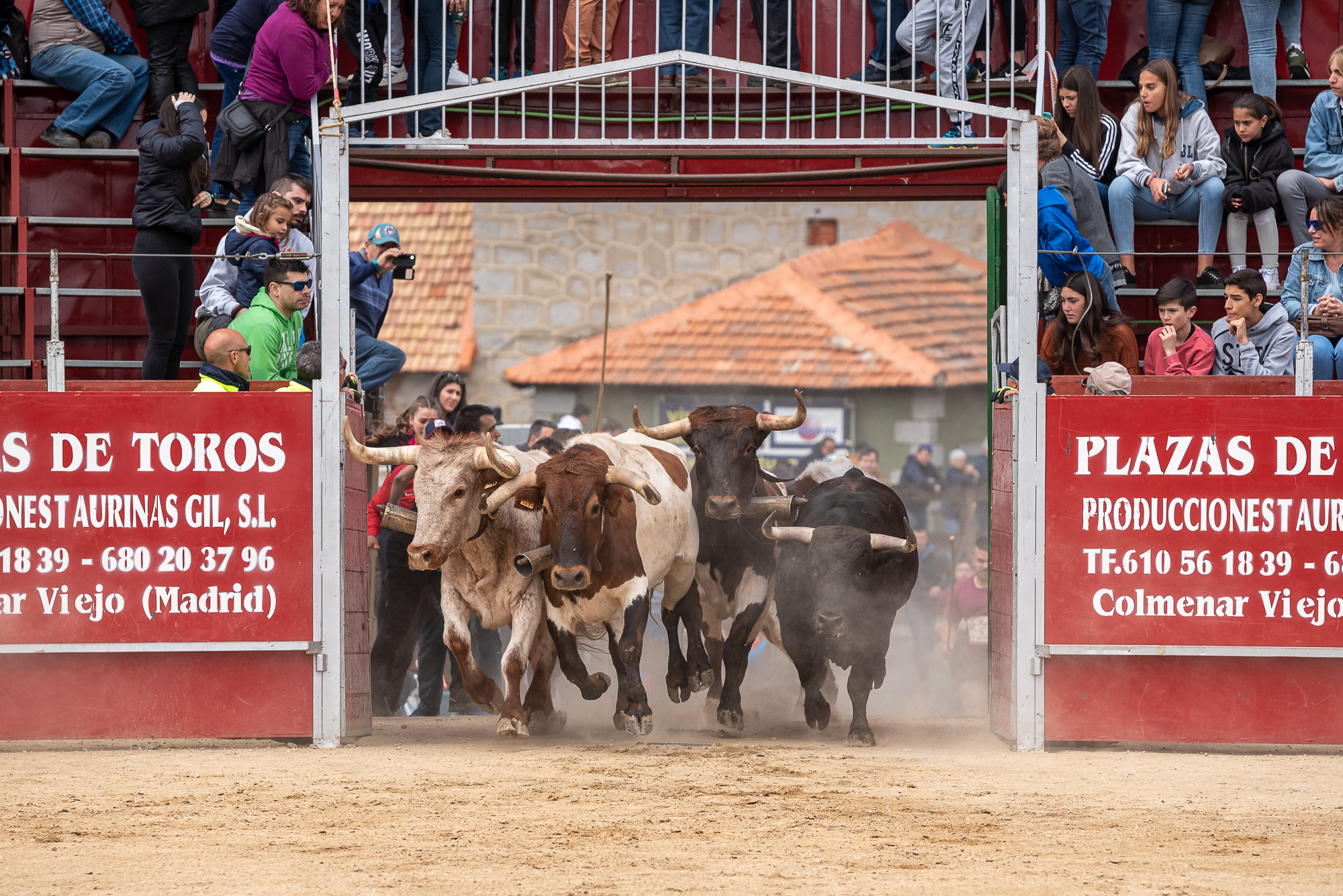 Imagen de la noticia Encierros 2019