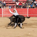 Imagen de la noticia Concurso goyesco de recortes