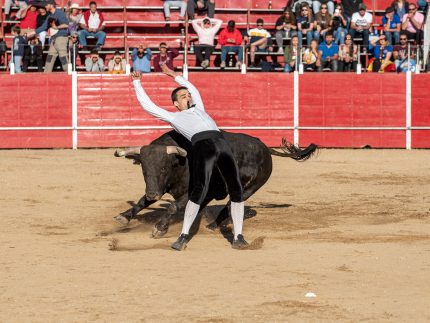 Imagen de la noticia Concurso goyesco de recortes