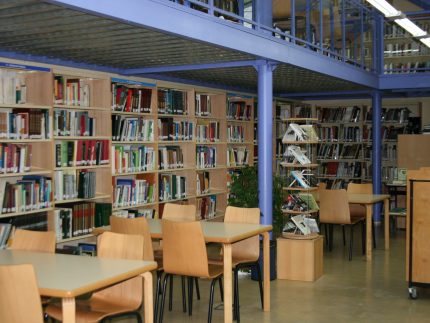 Imagen de la noticia Novedades de Julio – Biblioteca Municipal