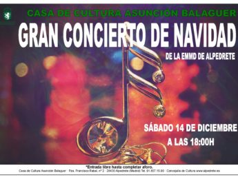 Imagen de la noticia Gran concierto de Navidad