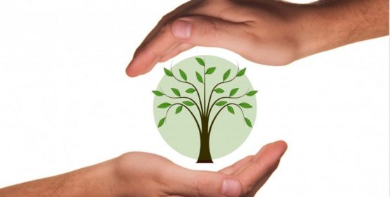 La Concejalía de Medio Ambiente presenta las nuevas jornadas de educación medioambiental, didáctica y de ocio Imagen de la noticia La Concejalía de Medio Ambiente presenta las nuevas jornadas de educación medioambiental, didáctica y de ocio