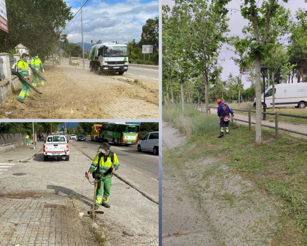 Campaña de desbroce y limpieza