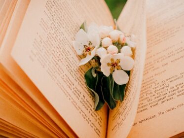 Boletín de novedades bibliográficas de mayo Imagen de la noticia Boletín de novedades bibliográficas de mayo