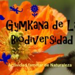 Imagen de la noticia Gymkana familiar de la diversidad