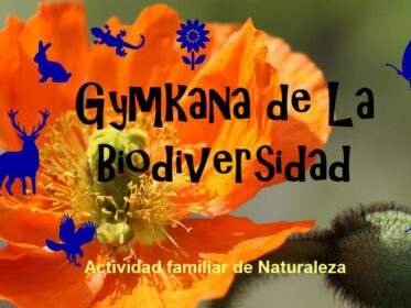 Gymkana familiar de la diversidad Imagen de la noticia Gymkana familiar de la diversidad