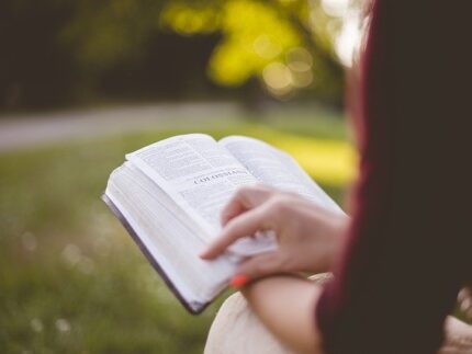 Imagen de la noticia Boletín de novedades bibliográficas de junio