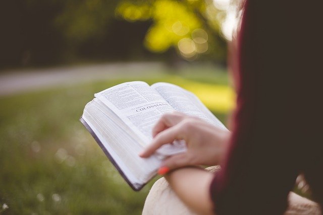 Imagen de la noticia Boletín de novedades bibliográficas de junio