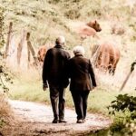 Imagen de la noticia Celebramos el Día de los Abuelos