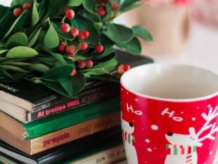 Imagen de la noticia Boletín de novedades de diciembre. Biblioteca Municipal