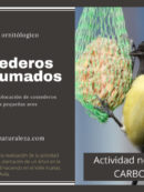 Taller ecológico de comederos para las pequeñas aves Imagen de la noticia Taller ecológico de comederos para las pequeñas aves