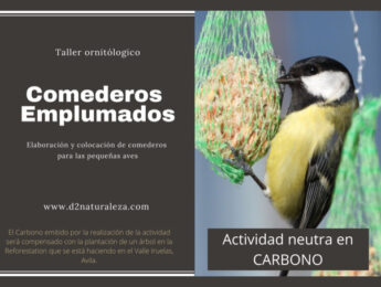 Imagen de la noticia Taller ecológico de comederos para las pequeñas aves