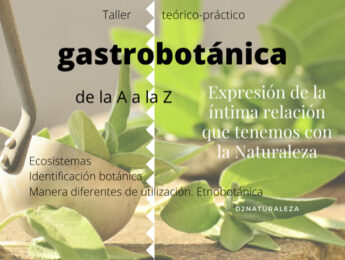 Imagen de la noticia Gastrobotánica. Malas hierbas o hierbas nutritivas