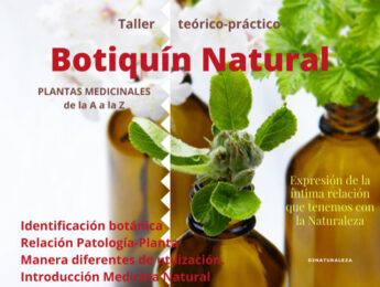 Imagen de la noticia Plantas medicinales: Botiquín natural