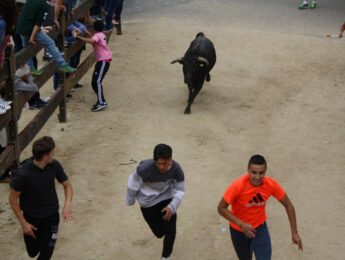 Imagen de la noticia Encierro y suelta de vaquillas