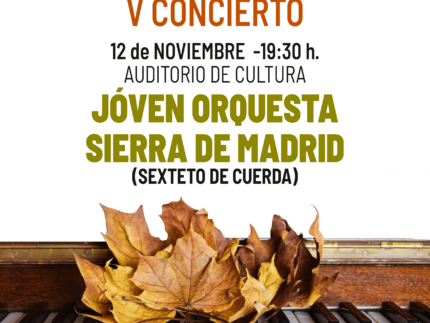 Cartel 5to concierto Festival Alpeclassic