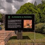 Imagen de la noticia Inaugurada la exposición fotográfica “Alpedrete al Natural”