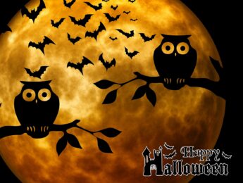 Imagen de la noticia Disfruta de Halloween en Alpedrete