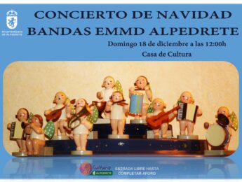 Imagen de la noticia Concierto de Navidad. Bandas de la EMMD de Alpedrete