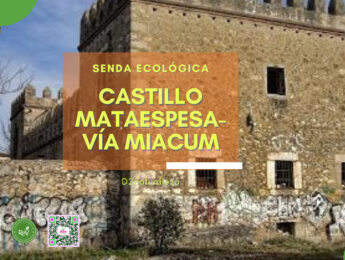 Imagen de la noticia Senda Ecológica. Castillo de Mataespesa – Vía Miacum