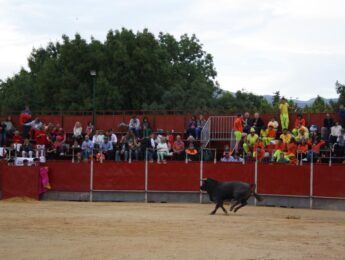 Imagen de la noticia Festival taurino mixto con picadores