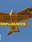 Imagen de la noticia Salida medioambiental. Curso Específico de Ornitología. Emplumados
