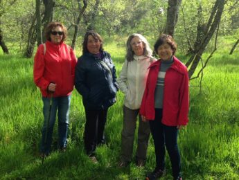 Imagen de la noticia Cordel de las Navillas. Sendas temáticas para mayores