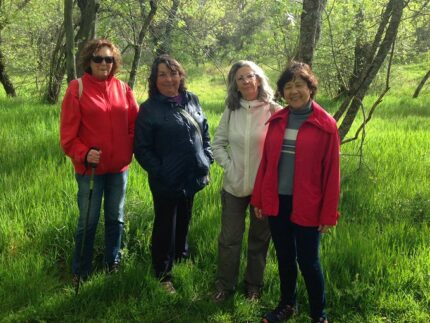 Imagen de la noticia Un otoño saludable: sendas temáticas para mayores