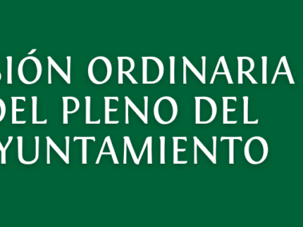 Sesion-ordinaria-del-pleno-del-ayuntamiento-Ayuntamiento-Alpedrete