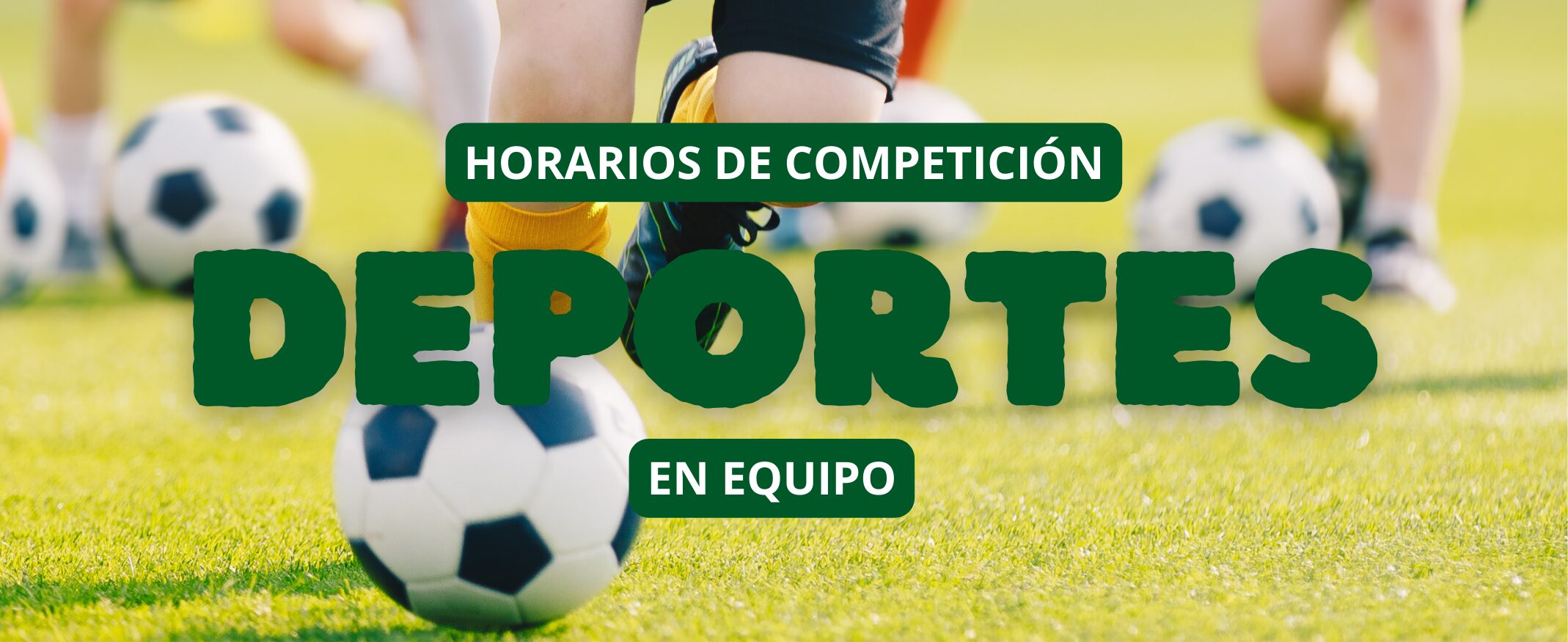 Imagen de la noticia Horarios de competición Deportes de Equipo 23/24