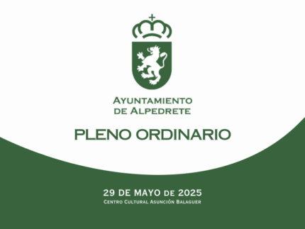 Pleno ordinario