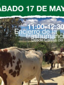 Imagen de la noticia Encierro de Trashumancia