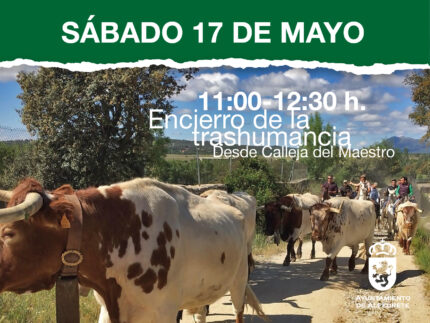 encierro trans 373x280-01