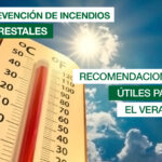 Imagen de la noticia Prevención de incendios forestales: recomendaciones útiles para el verano