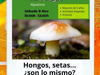 Imagen de la noticia Salida medioambiental. Curso de micología