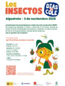 Días sin Cole en noviembre: “Los insectos” Imagen de la noticia Días sin Cole en noviembre: “Los insectos”