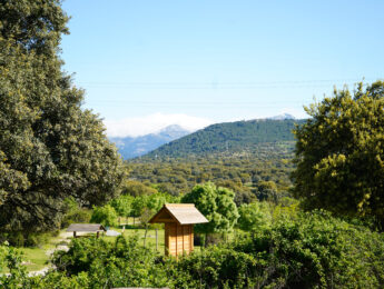 El Ayuntamiento de Alpedrete informa sobre trabajos de adecuación en Montes de Utilidad Pública de la localidad Imagen de la noticia El Ayuntamiento de Alpedrete informa sobre trabajos de adecuación en Montes de Utilidad Pública de la localidad