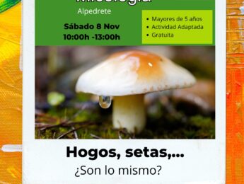 Salida medioambiental. Curso de micología Imagen de la noticia Salida medioambiental. Curso de micología