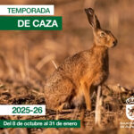 Imagen de la noticia Temporada de caza 2025-2026 en Alpedrete: fechas y normativa
