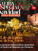 Imagen de la noticia Salida especial de Navidad a Puy du Fou (Toledo) para mayores
