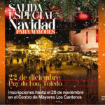banner cultural 345x260 01 Imagen de la noticia Salida especial de Navidad a Puy du Fou (Toledo) para mayores